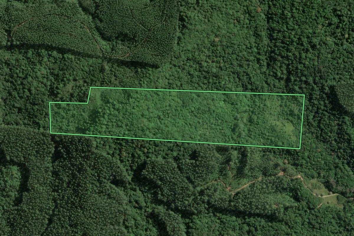 Imagem de satélite do imóvel rural em Imaruí (SC), com o contorno declarado no CAR desenhado por cima.