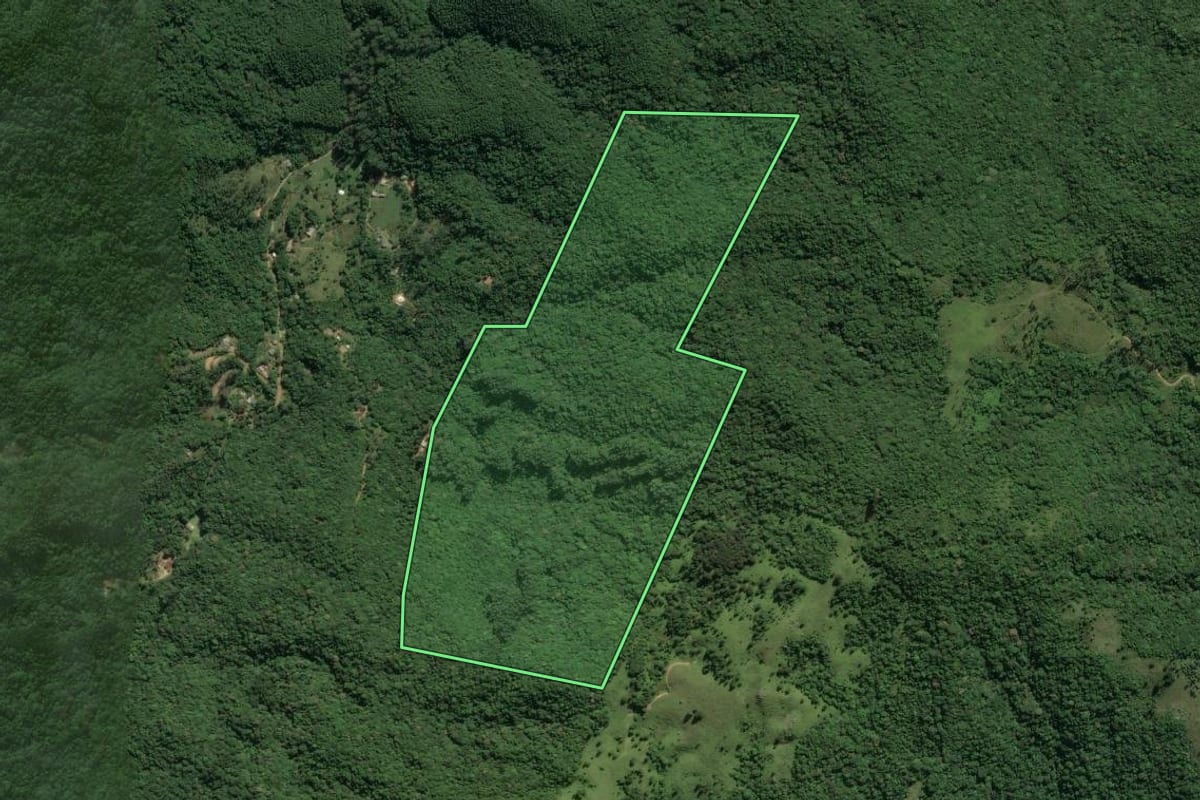 Imagem de satélite do imóvel rural em Imaruí (SC), com o contorno declarado no CAR desenhado por cima.