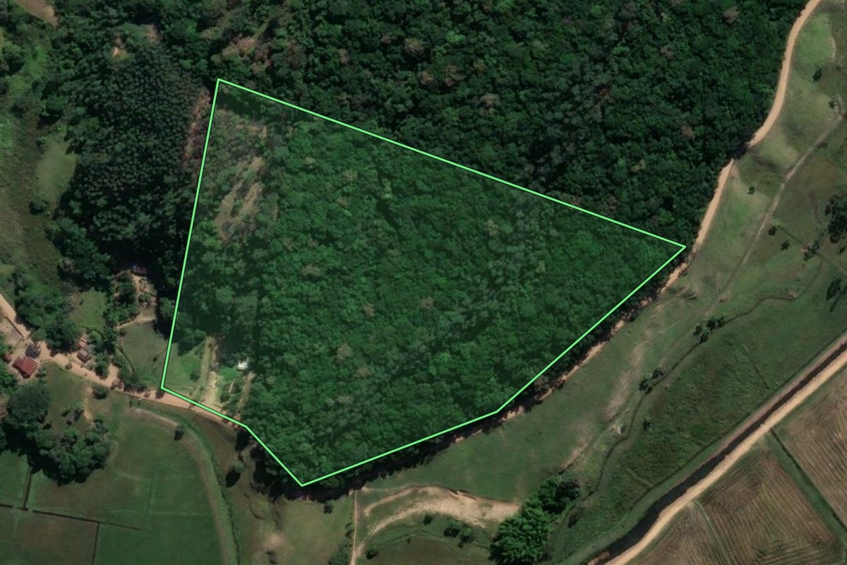 Imagem de satélite do imóvel rural em Imaruí (SC), com o contorno declarado no CAR desenhado por cima.