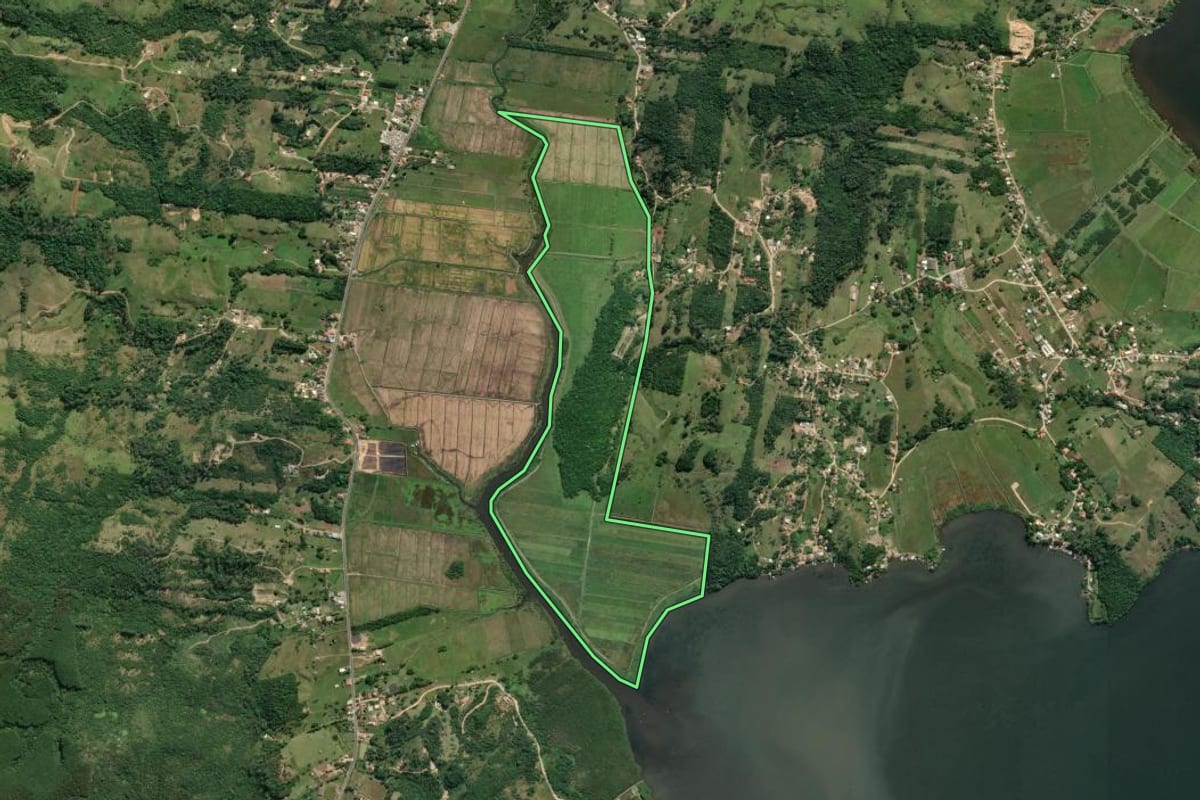 Imagem de satélite do imóvel rural em Imaruí (SC), com o contorno declarado no CAR desenhado por cima.
