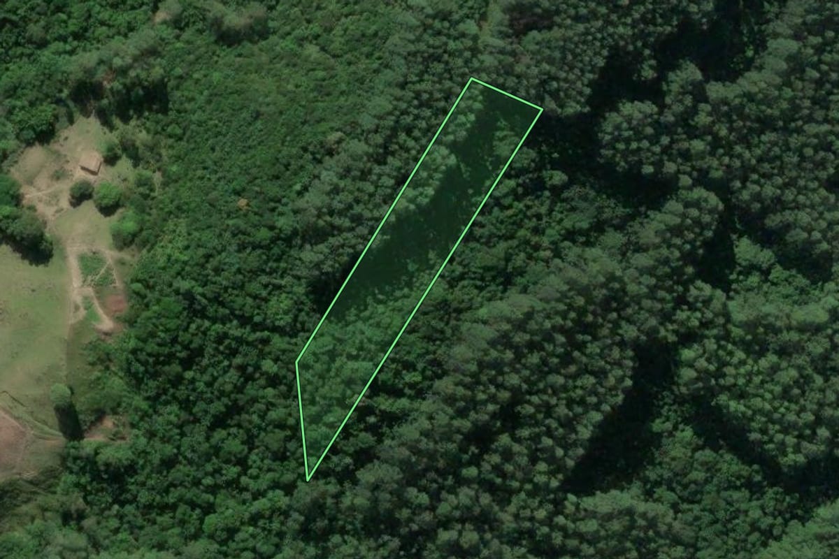 Imagem de satélite do imóvel rural em Imaruí (SC), com o contorno declarado no CAR desenhado por cima.