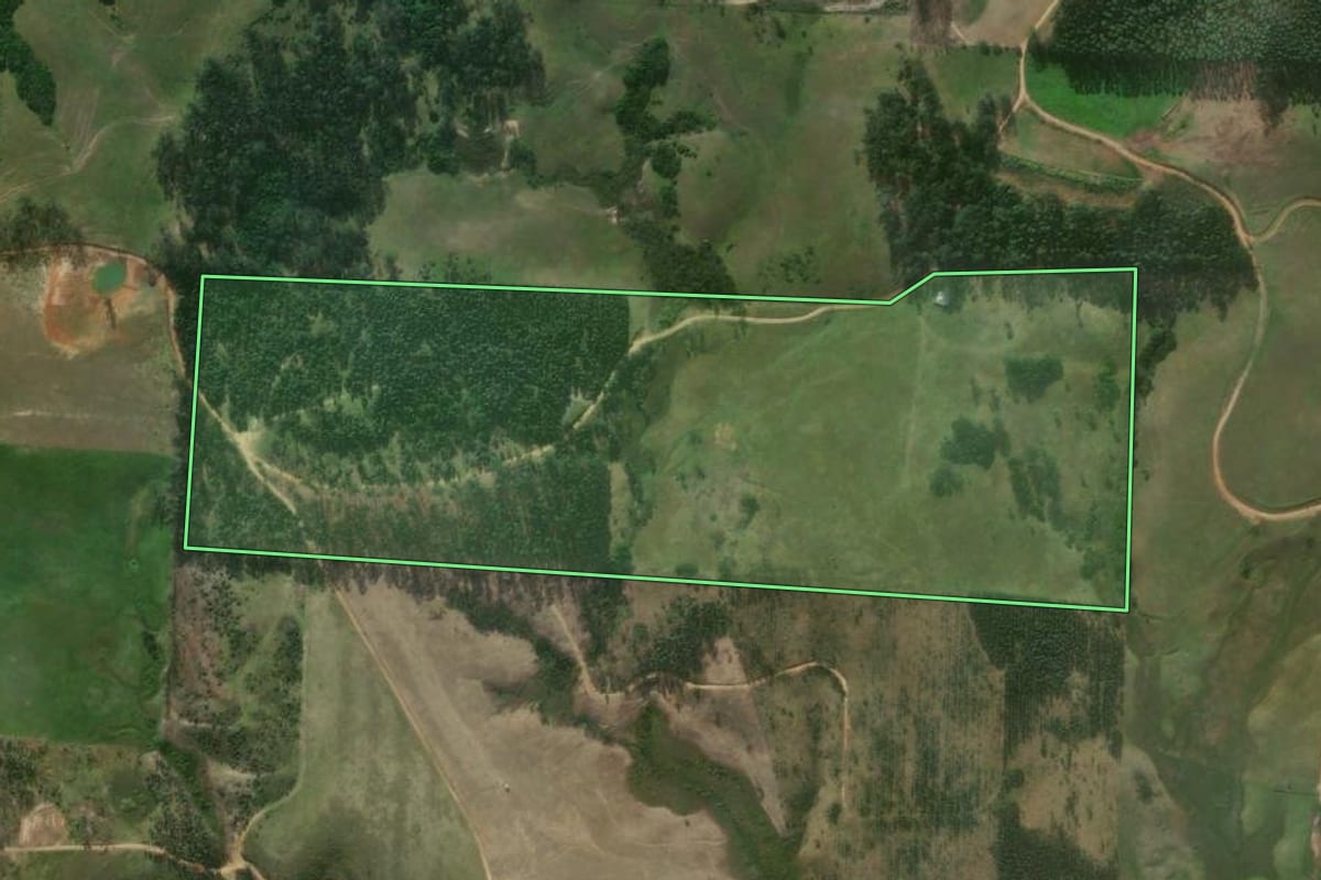Imagem de satélite do imóvel rural em Imaruí (SC), com o contorno declarado no CAR desenhado por cima.