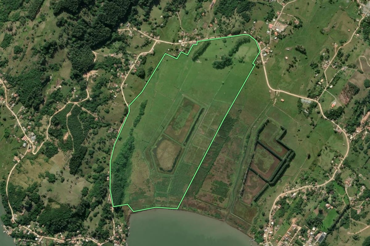 Imagem de satélite do imóvel rural em Imaruí (SC), com o contorno declarado no CAR desenhado por cima.