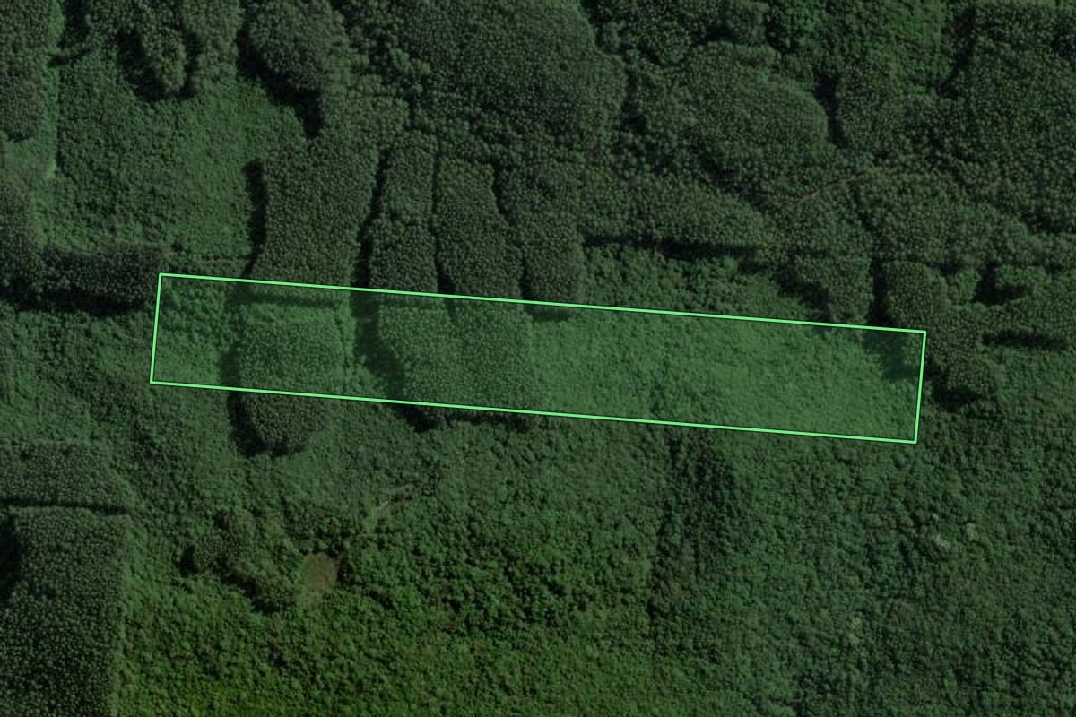 Imagem de satélite do imóvel rural em Imaruí (SC), com o contorno declarado no CAR desenhado por cima.