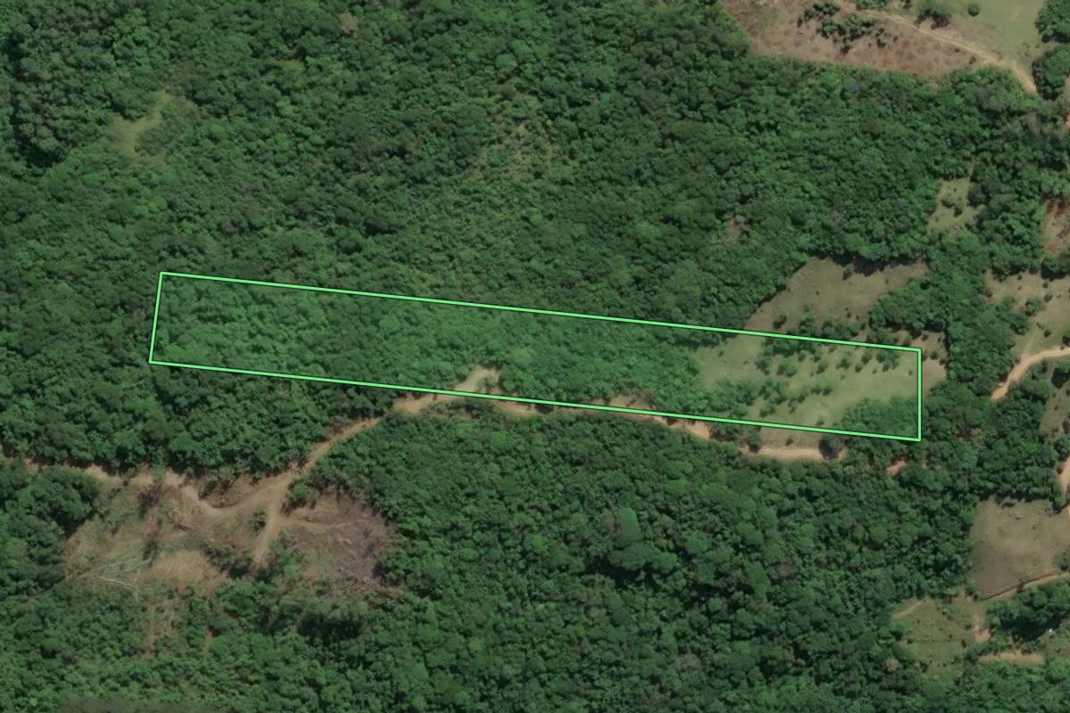 Imagem de satélite do imóvel rural em Imaruí (SC), com o contorno declarado no CAR desenhado por cima.