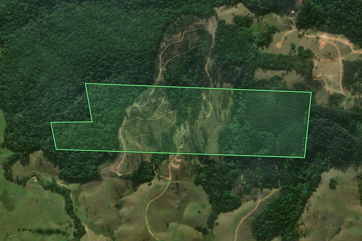 Imagem de satélite do imóvel rural em Imaruí (SC), com o contorno declarado no CAR desenhado por cima.