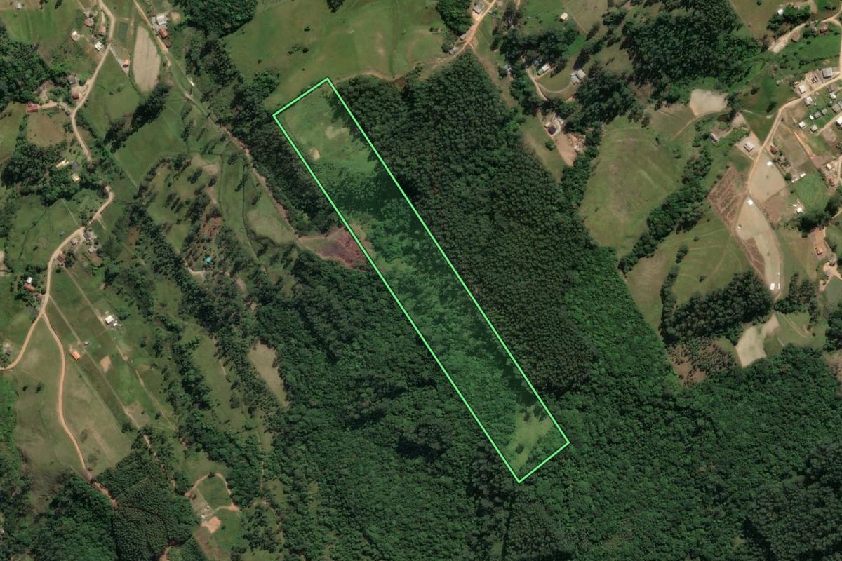 Imagem de satélite do imóvel rural em Imaruí (SC), com o contorno declarado no CAR desenhado por cima.