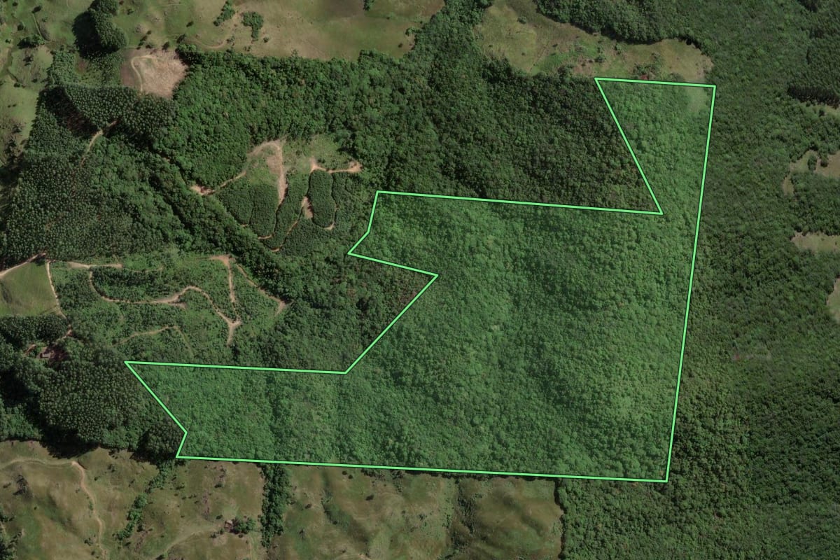 Imagem de satélite do imóvel rural em Imaruí (SC), com o contorno declarado no CAR desenhado por cima.