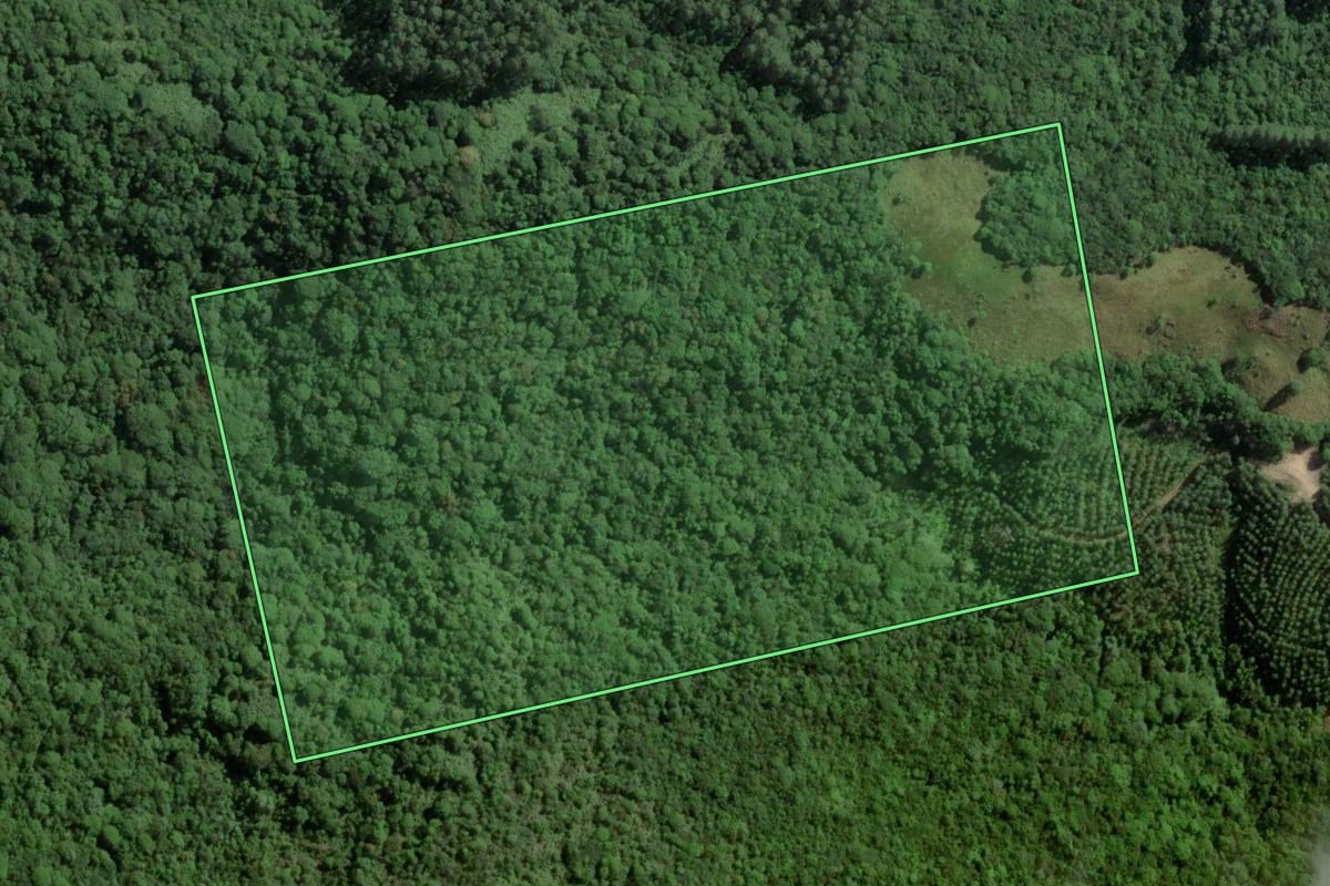 Imagem de satélite do imóvel rural em Imaruí (SC), com o contorno declarado no CAR desenhado por cima.