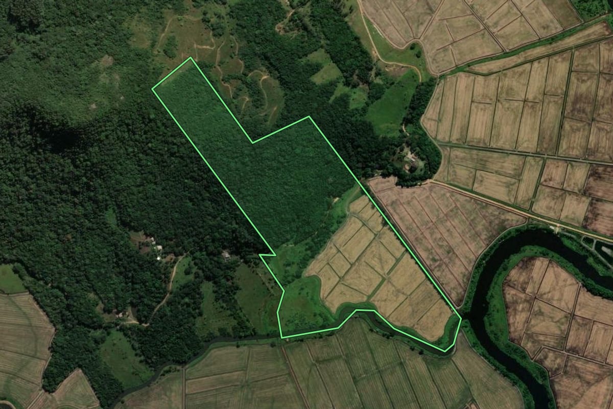 Imagem de satélite do imóvel rural em Imaruí (SC), com o contorno declarado no CAR desenhado por cima.