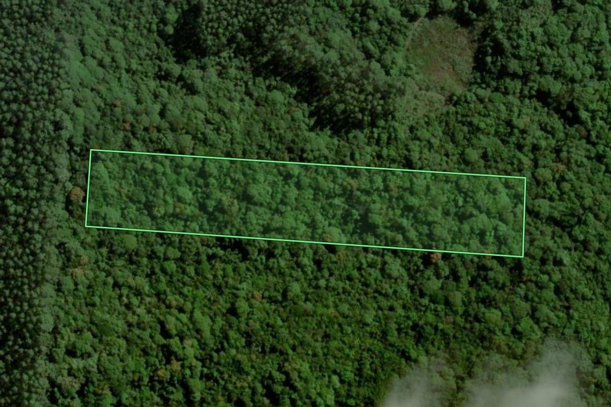 Imagem de satélite do imóvel rural em Imaruí (SC), com o contorno declarado no CAR desenhado por cima.