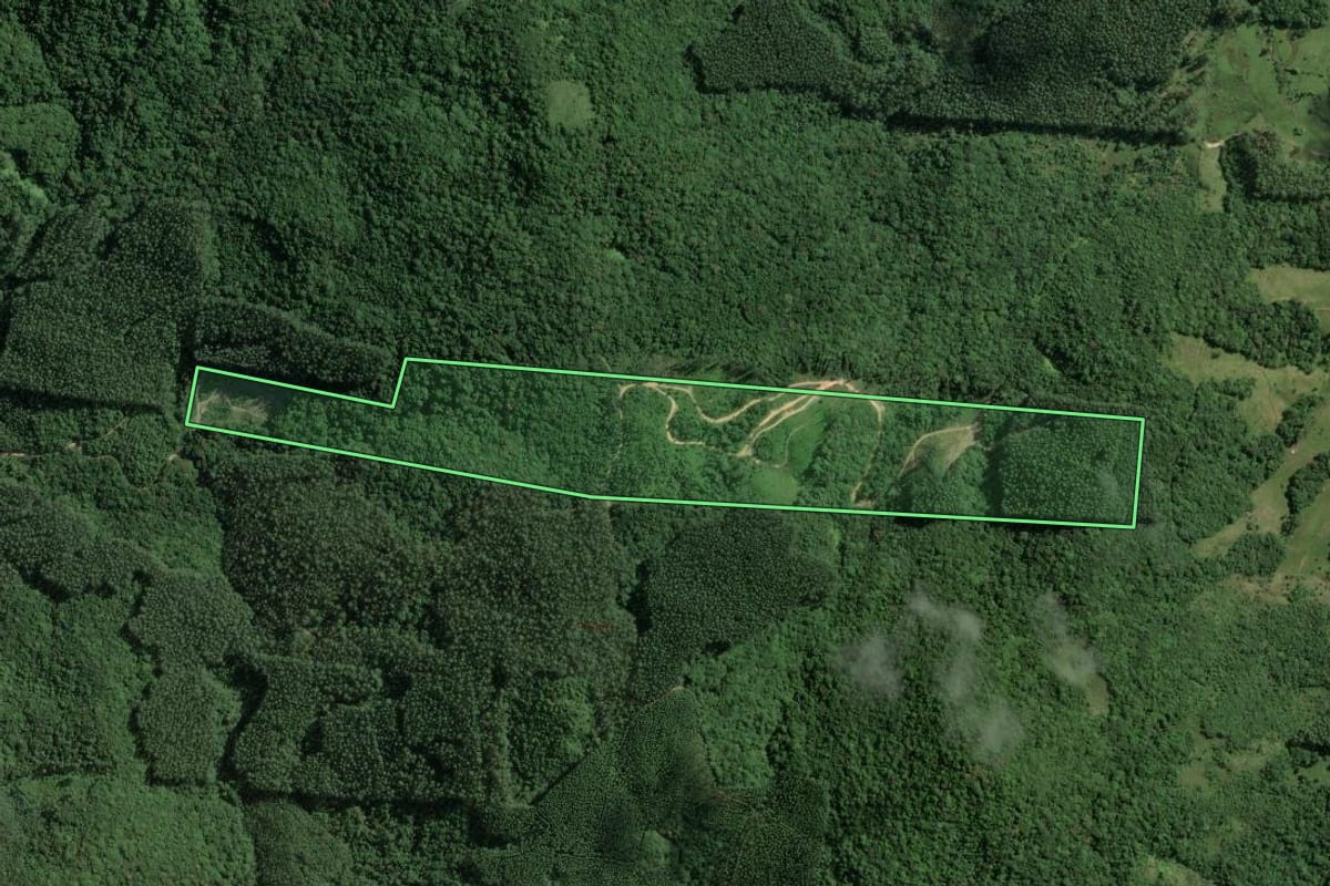 Imagem de satélite do imóvel rural em Imaruí (SC), com o contorno declarado no CAR desenhado por cima.