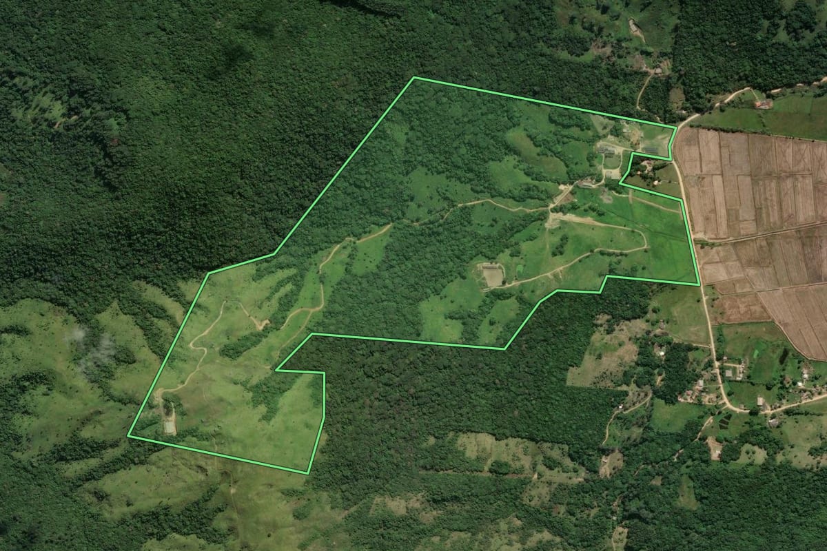 Imagem de satélite do imóvel rural em Imaruí (SC), com o contorno declarado no CAR desenhado por cima.