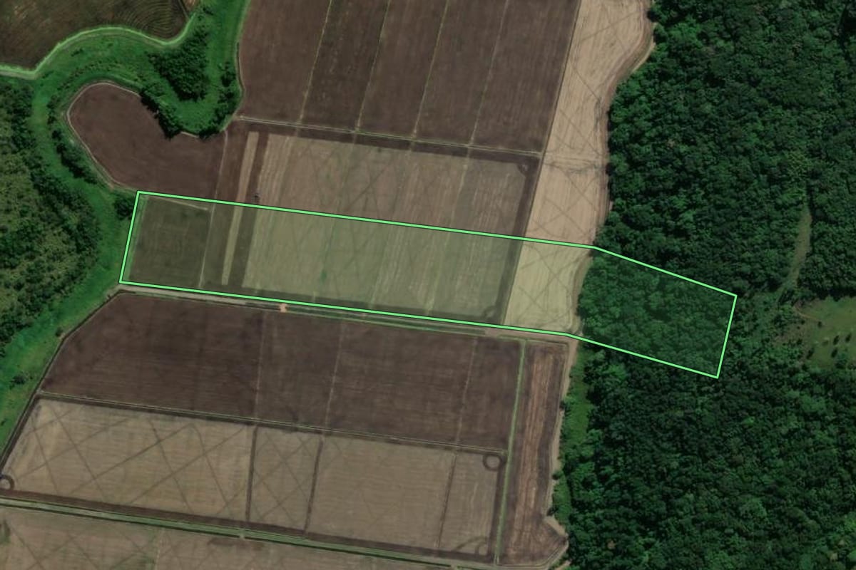Imagem de satélite do imóvel rural em Imbituba (SC), com o contorno declarado no CAR desenhado por cima.