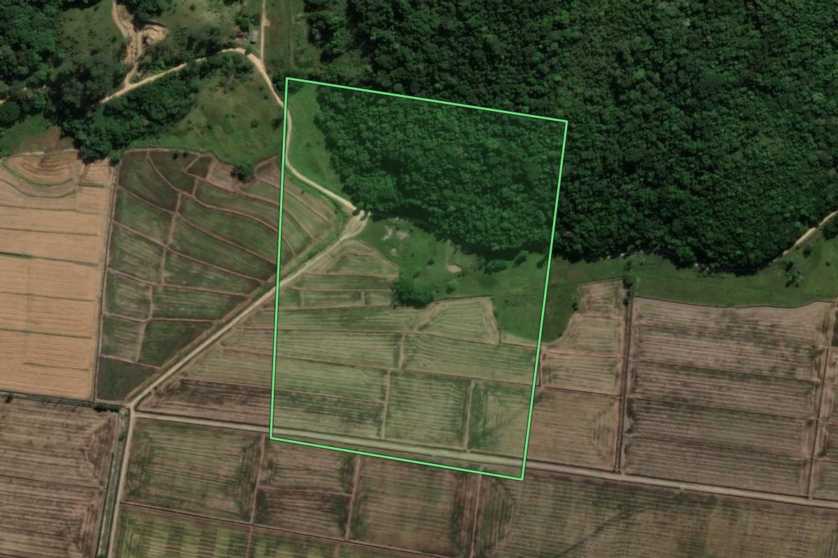 Imagem de satélite do imóvel rural em Imbituba (SC), com o contorno declarado no CAR desenhado por cima.