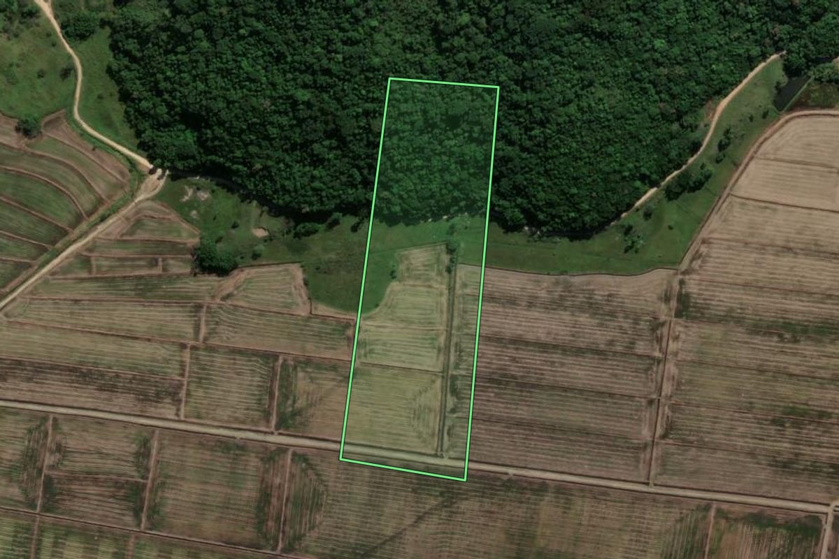 Imagem de satélite do imóvel rural em Imbituba (SC), com o contorno declarado no CAR desenhado por cima.