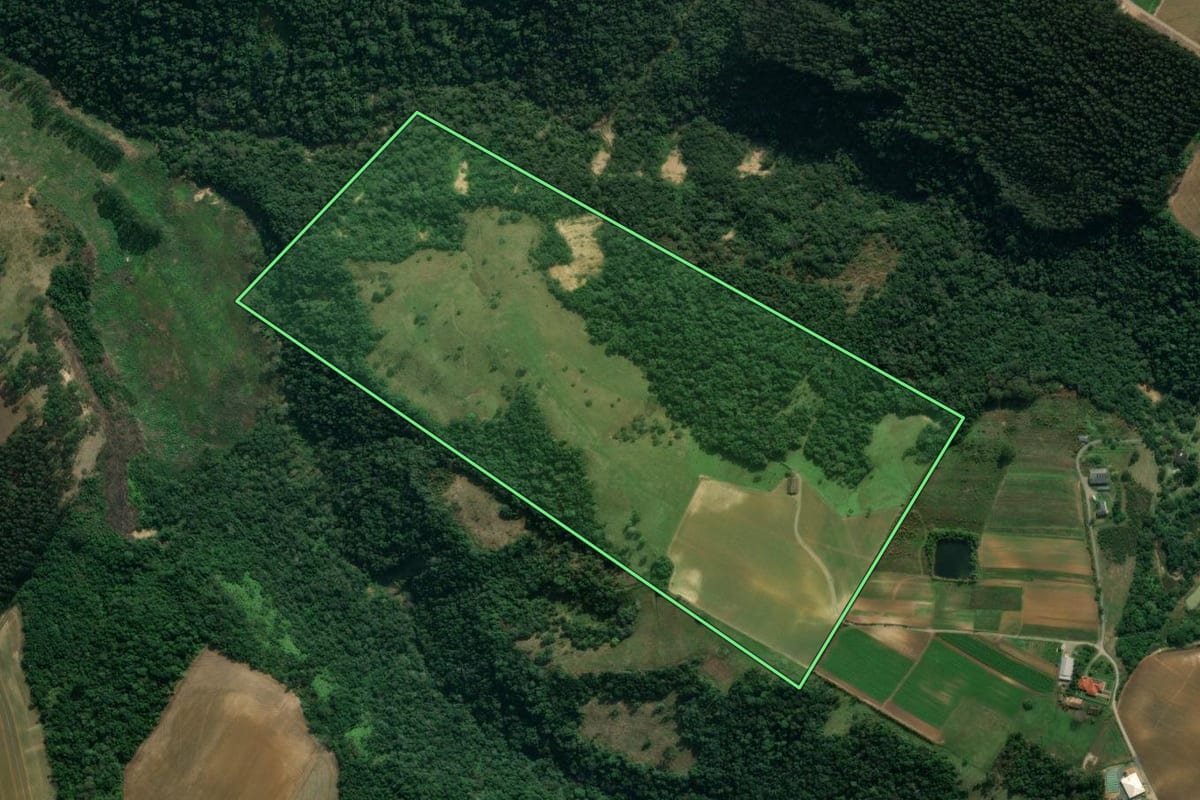 Imagem de satélite do imóvel rural em Imbuia (SC), com o contorno declarado no CAR desenhado por cima.