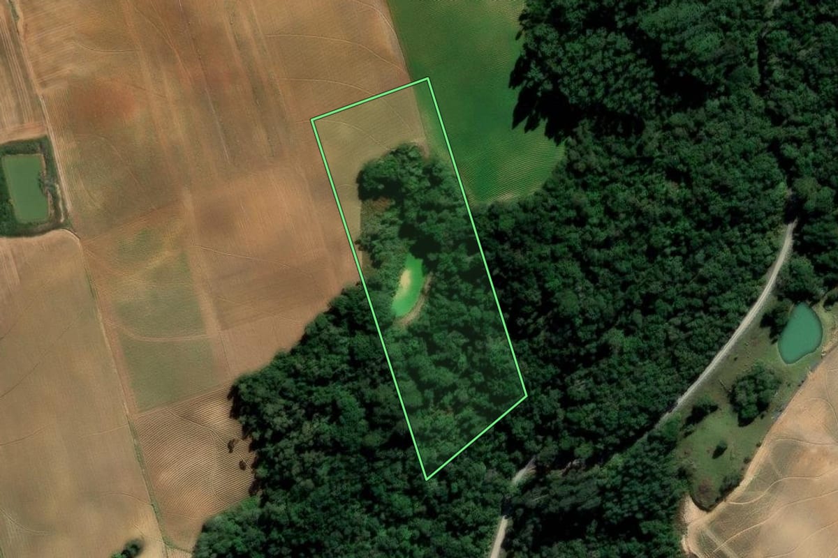 Imagem de satélite do imóvel rural em Imbuia (SC), com o contorno declarado no CAR desenhado por cima.