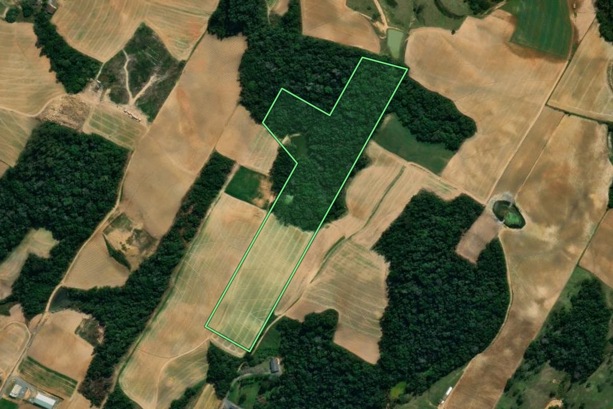 Imagem de satélite do imóvel rural em Imbuia (SC), com o contorno declarado no CAR desenhado por cima.