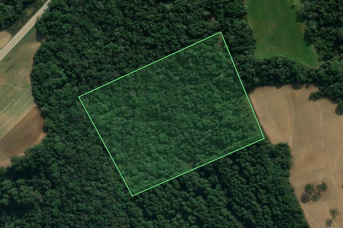 Imagem de satélite do imóvel rural em Imbuia (SC), com o contorno declarado no CAR desenhado por cima.