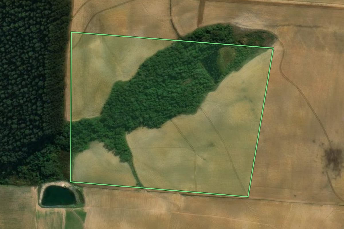 Imagem de satélite do imóvel rural em Imbuia (SC), com o contorno declarado no CAR desenhado por cima.