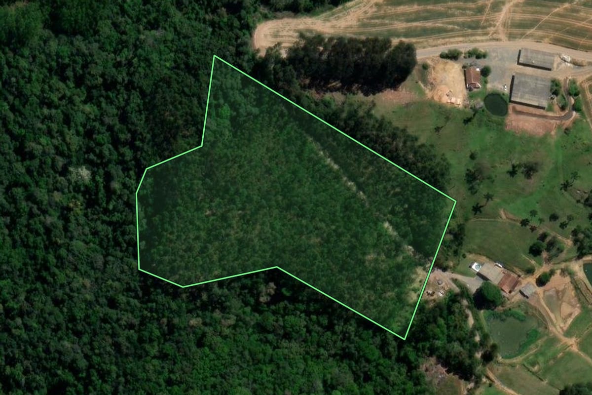 Imagem de satélite do imóvel rural em Imbuia (SC), com o contorno declarado no CAR desenhado por cima.