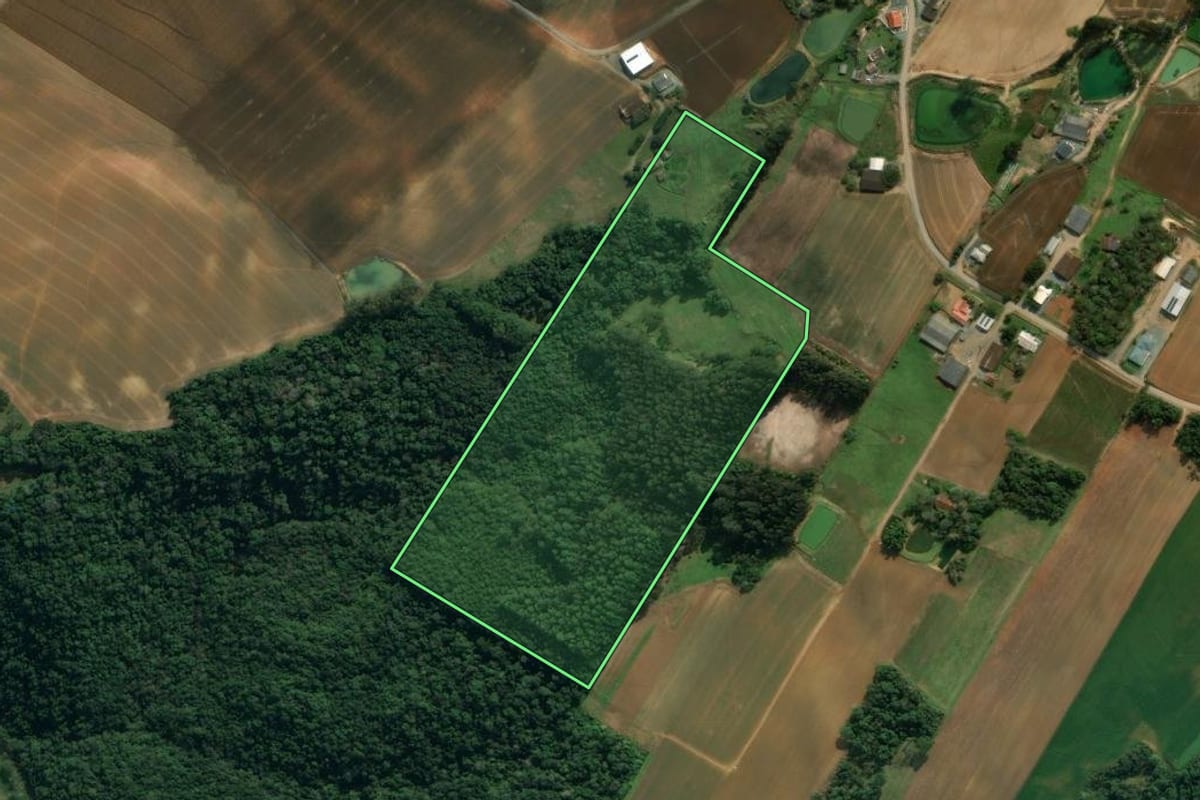 Imagem de satélite do imóvel rural em Imbuia (SC), com o contorno declarado no CAR desenhado por cima.