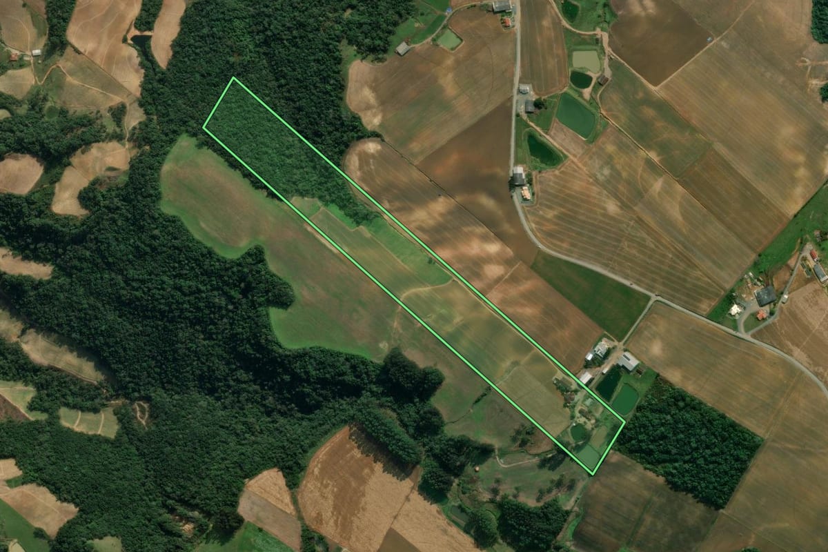 Imagem de satélite do imóvel rural em Imbuia (SC), com o contorno declarado no CAR desenhado por cima.