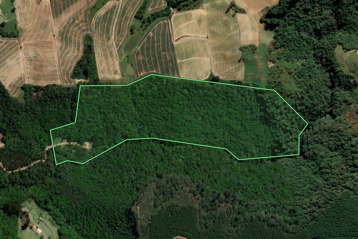 Imagem de satélite do imóvel rural em Imbuia (SC), com o contorno declarado no CAR desenhado por cima.