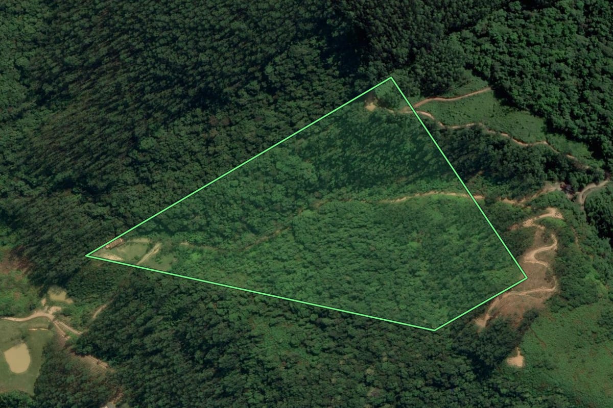 Imagem de satélite do imóvel rural em Indaial (SC), com o contorno declarado no CAR desenhado por cima.