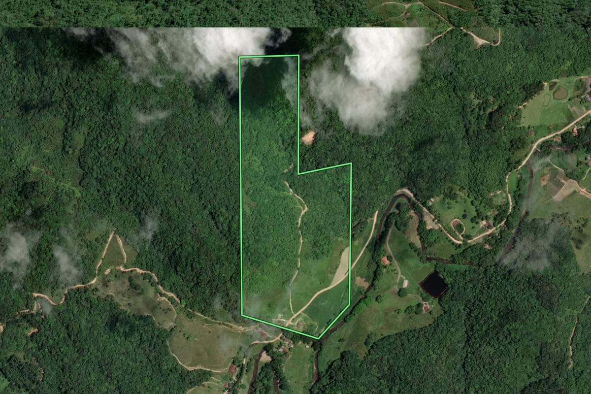 Imagem de satélite do imóvel rural em Indaial (SC), com o contorno declarado no CAR desenhado por cima.