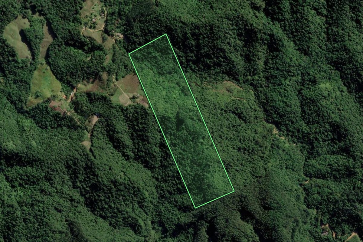 Imagem de satélite do imóvel rural em Indaial (SC), com o contorno declarado no CAR desenhado por cima.