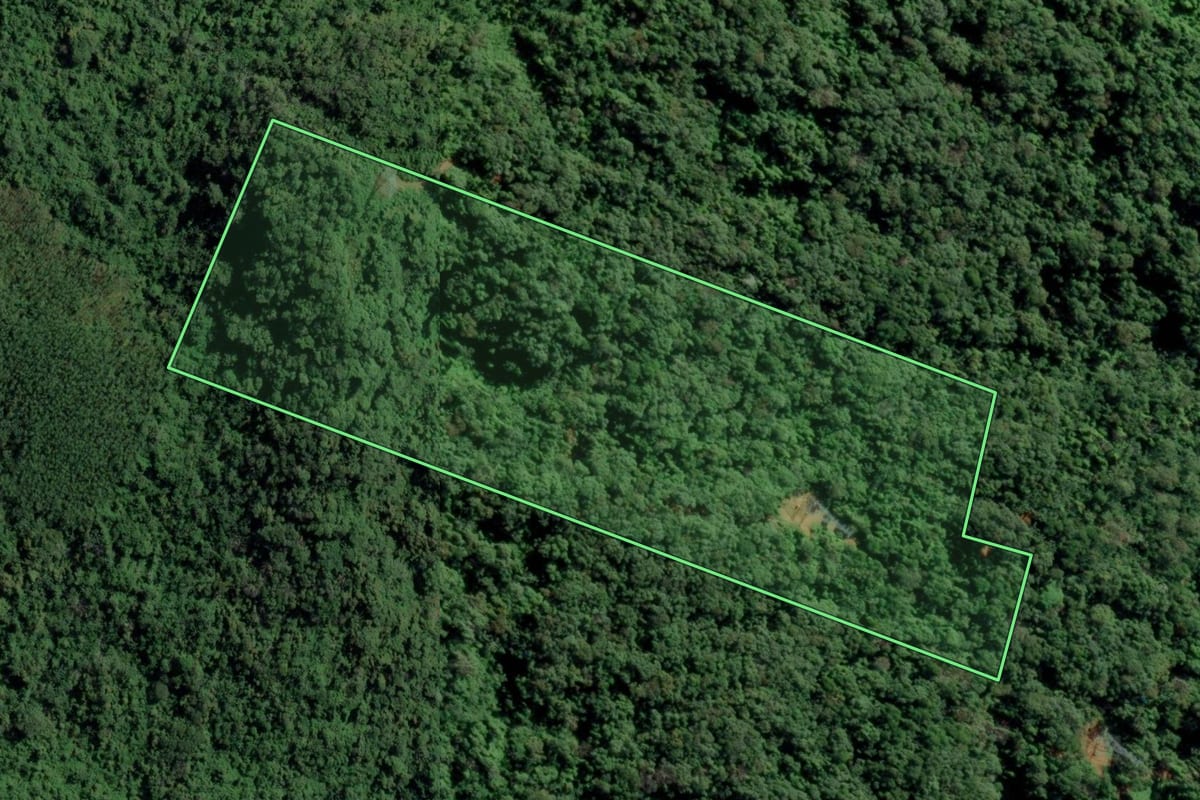 Imagem de satélite do imóvel rural em Indaial (SC), com o contorno declarado no CAR desenhado por cima.