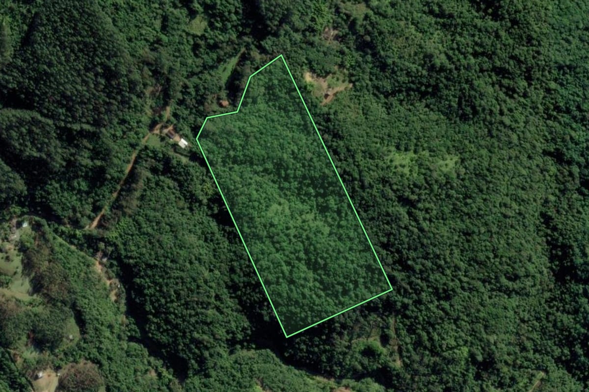 Imagem de satélite do imóvel rural em Indaial (SC), com o contorno declarado no CAR desenhado por cima.