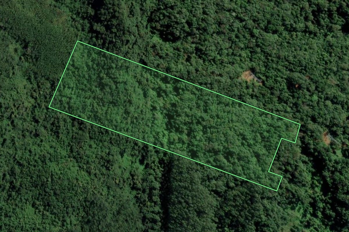 Imagem de satélite do imóvel rural em Indaial (SC), com o contorno declarado no CAR desenhado por cima.