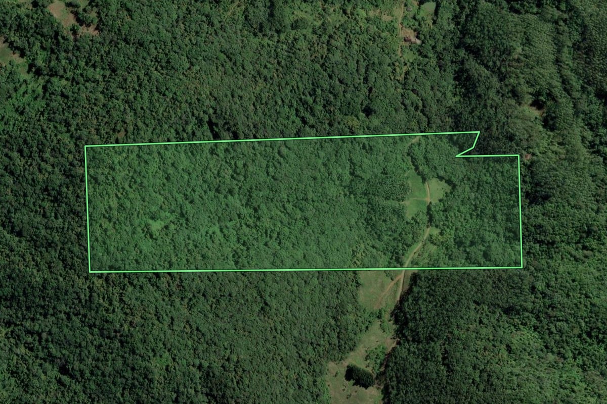 Imagem de satélite do imóvel rural em Indaial (SC), com o contorno declarado no CAR desenhado por cima.