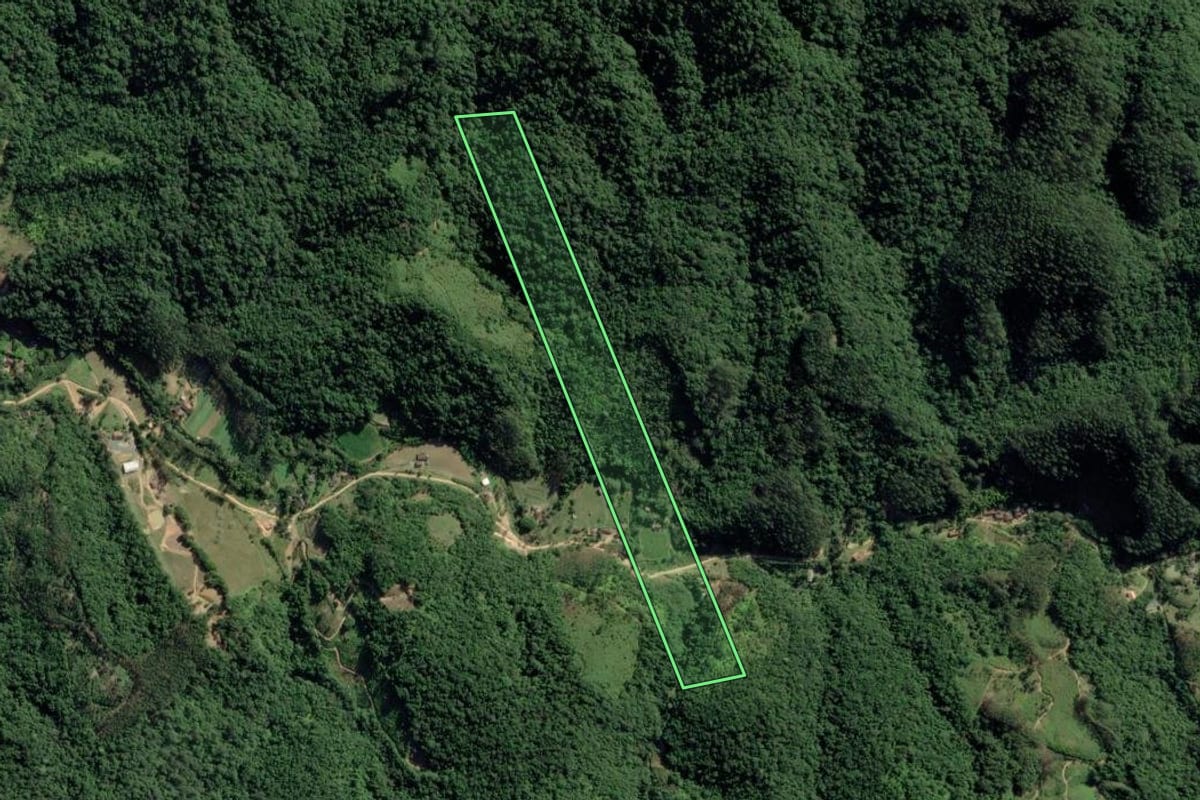 Imagem de satélite do imóvel rural em Indaial (SC), com o contorno declarado no CAR desenhado por cima.
