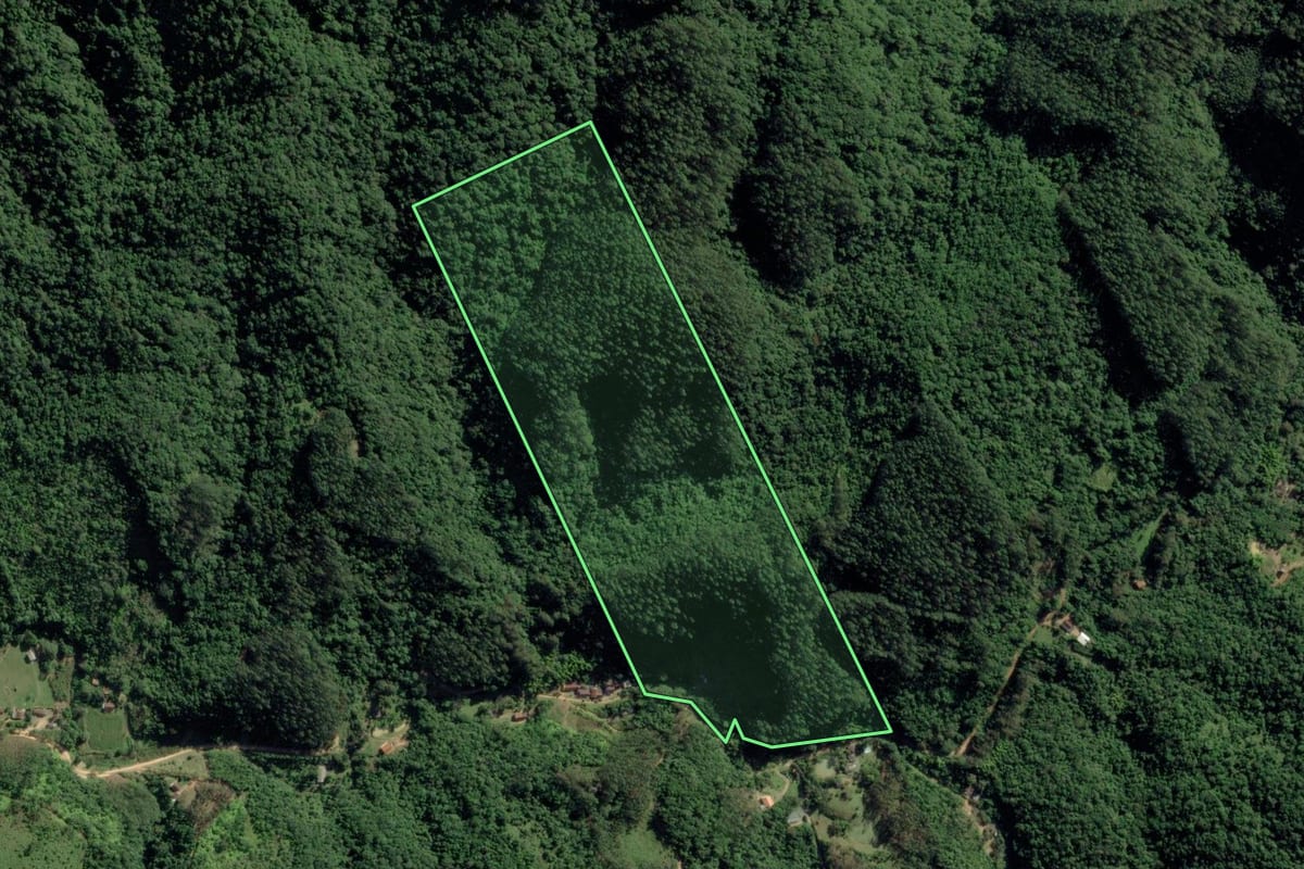 Imagem de satélite do imóvel rural em Indaial (SC), com o contorno declarado no CAR desenhado por cima.