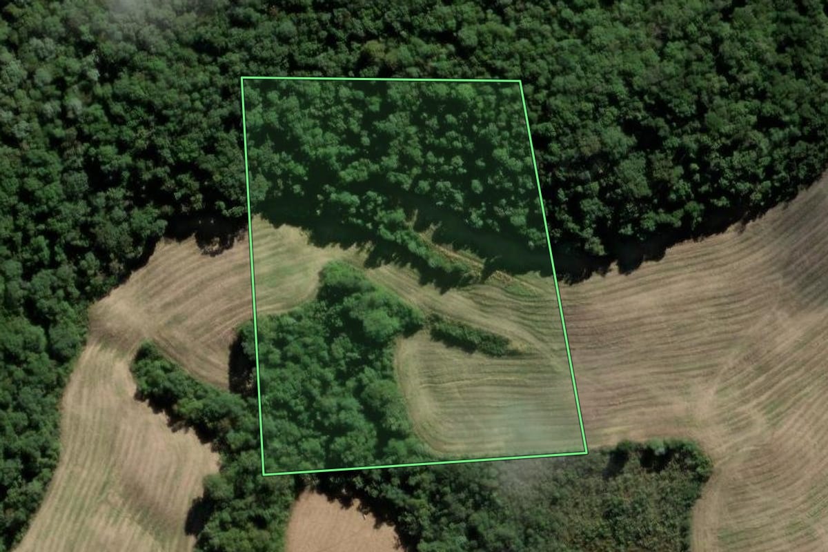Imagem de satélite do imóvel rural em Iomerê (SC), com o contorno declarado no CAR desenhado por cima.