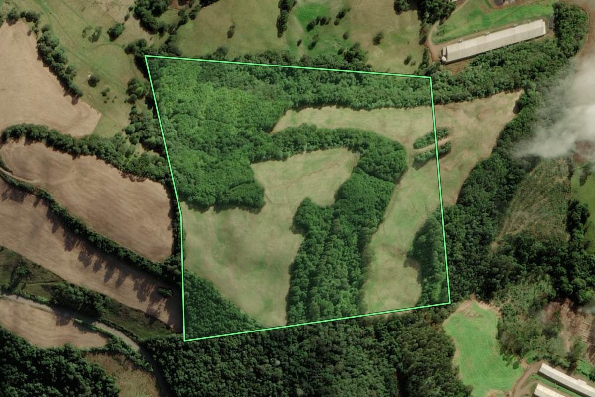 Imagem de satélite do imóvel rural em Iomerê (SC), com o contorno declarado no CAR desenhado por cima.