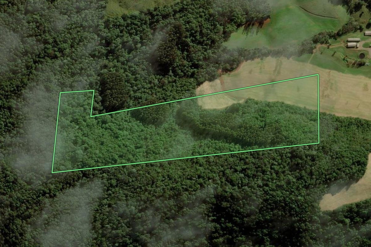Imagem de satélite do imóvel rural em Iomerê (SC), com o contorno declarado no CAR desenhado por cima.