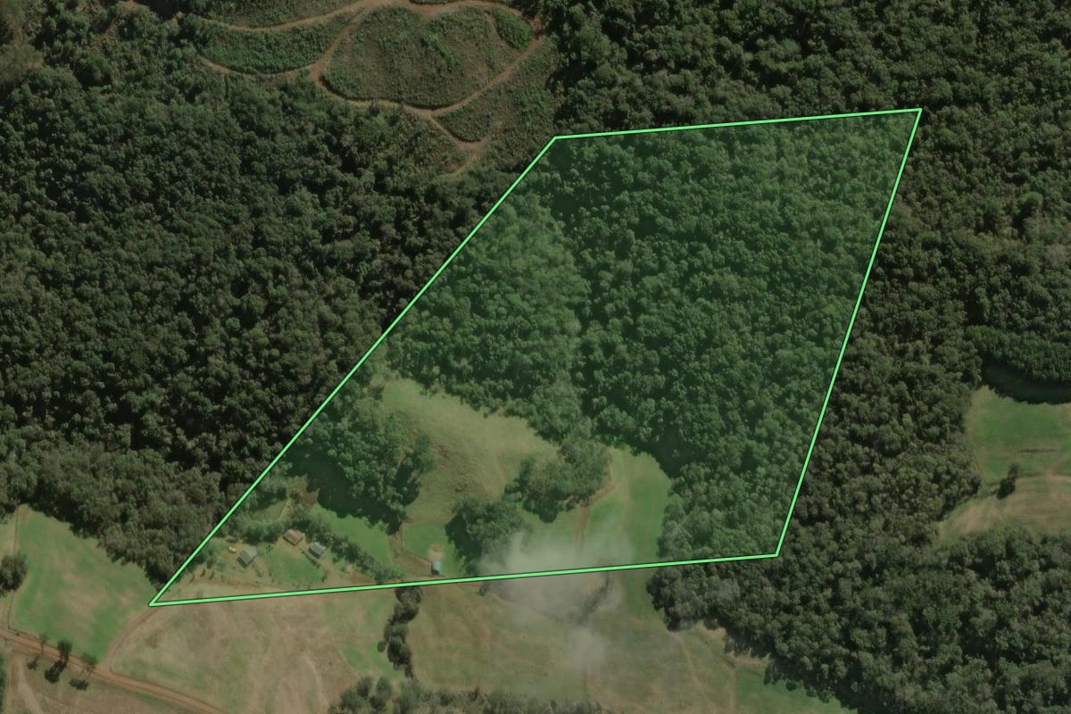 Imagem de satélite do imóvel rural em Iomerê (SC), com o contorno declarado no CAR desenhado por cima.