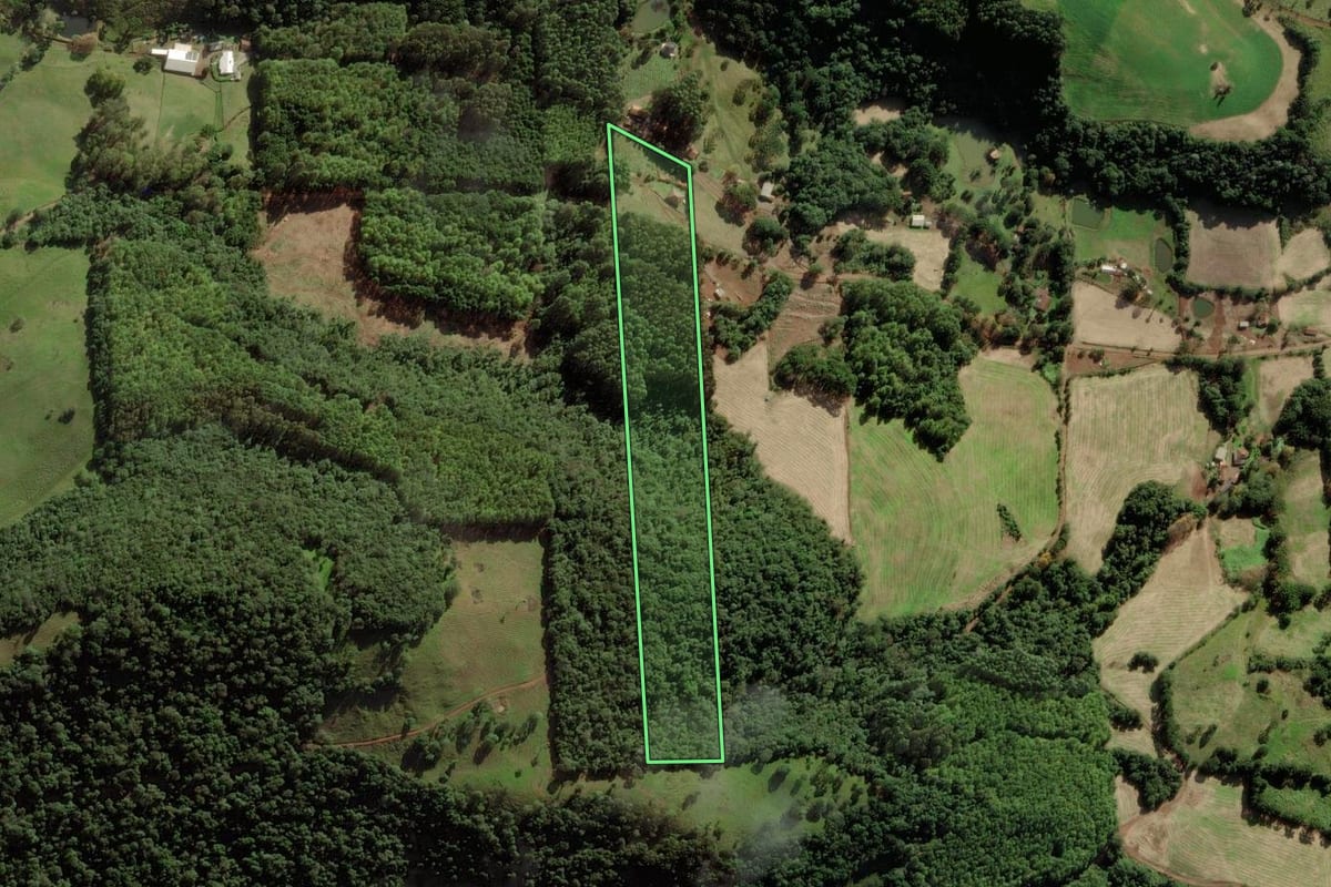 Imagem de satélite do imóvel rural em Iomerê (SC), com o contorno declarado no CAR desenhado por cima.