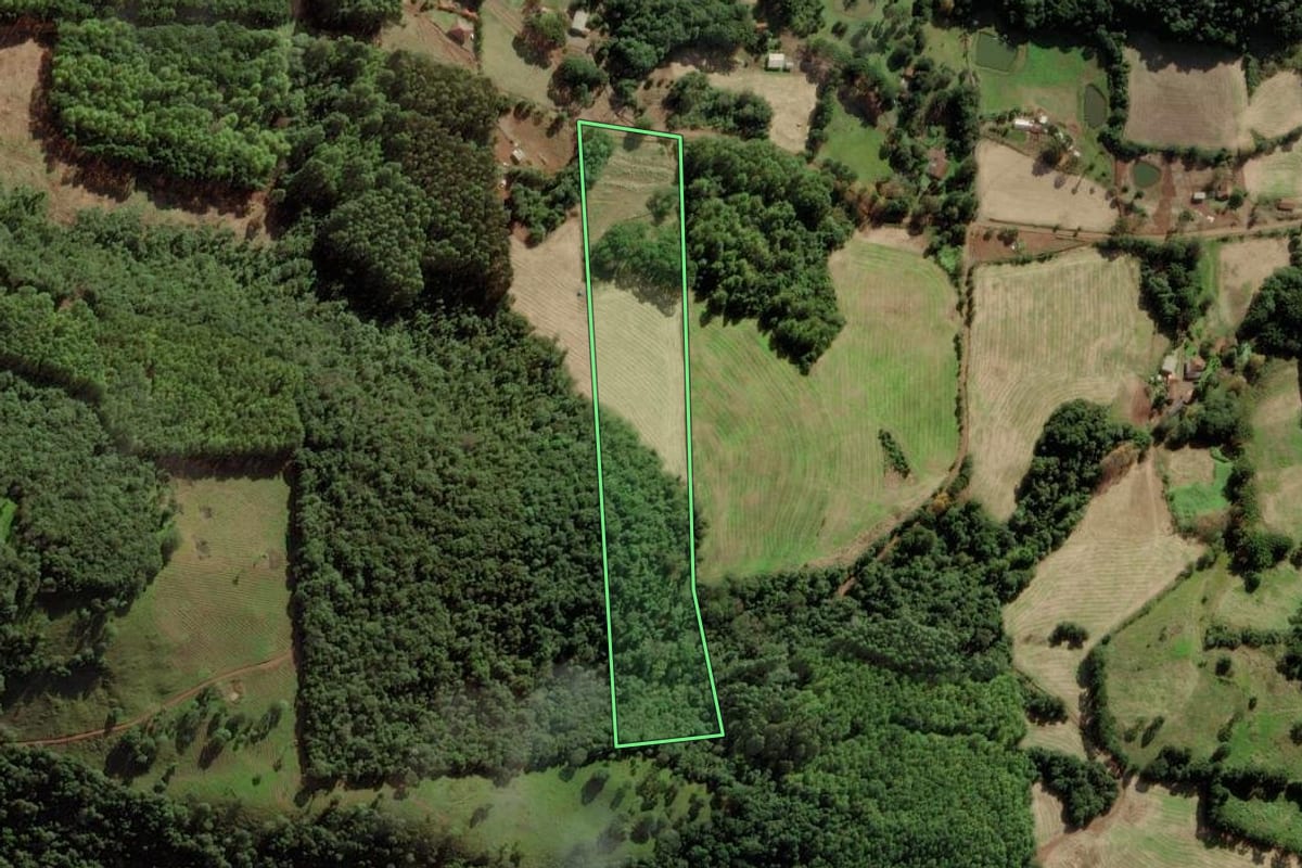 Imagem de satélite do imóvel rural em Iomerê (SC), com o contorno declarado no CAR desenhado por cima.