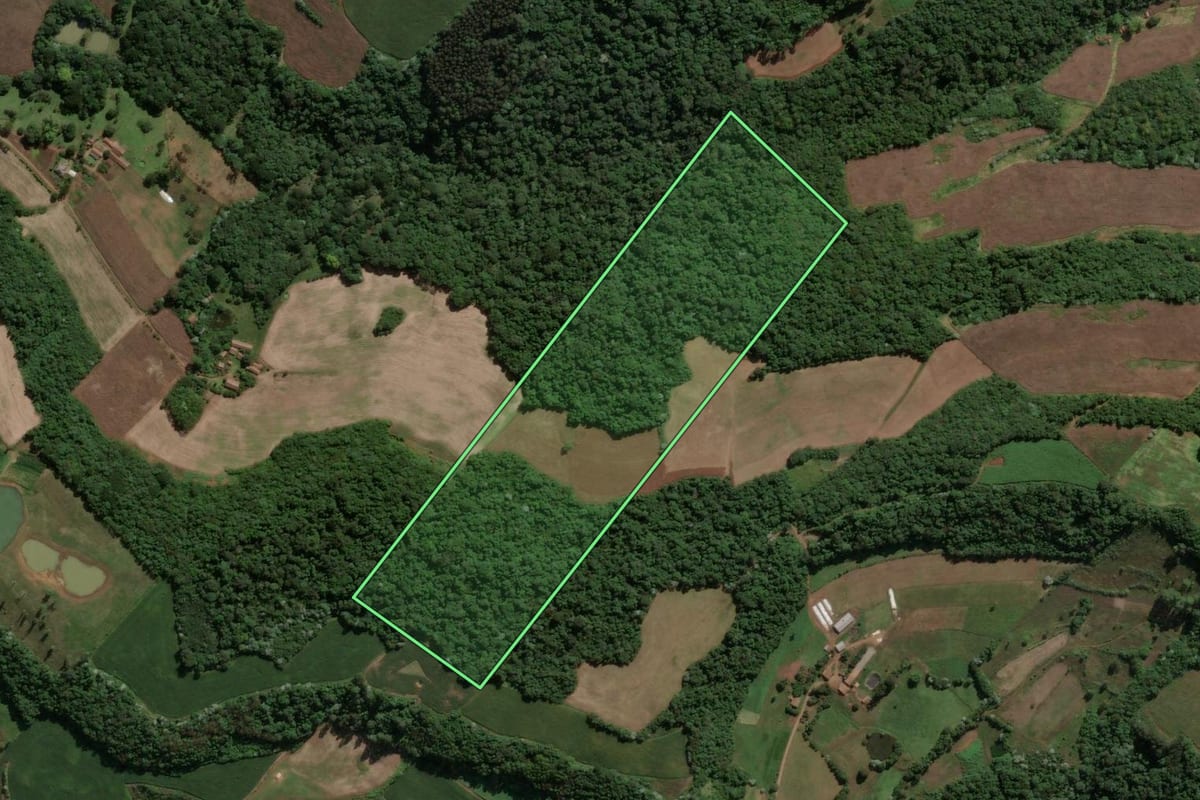 Imagem de satélite do imóvel rural em Ipira (SC), com o contorno declarado no CAR desenhado por cima.