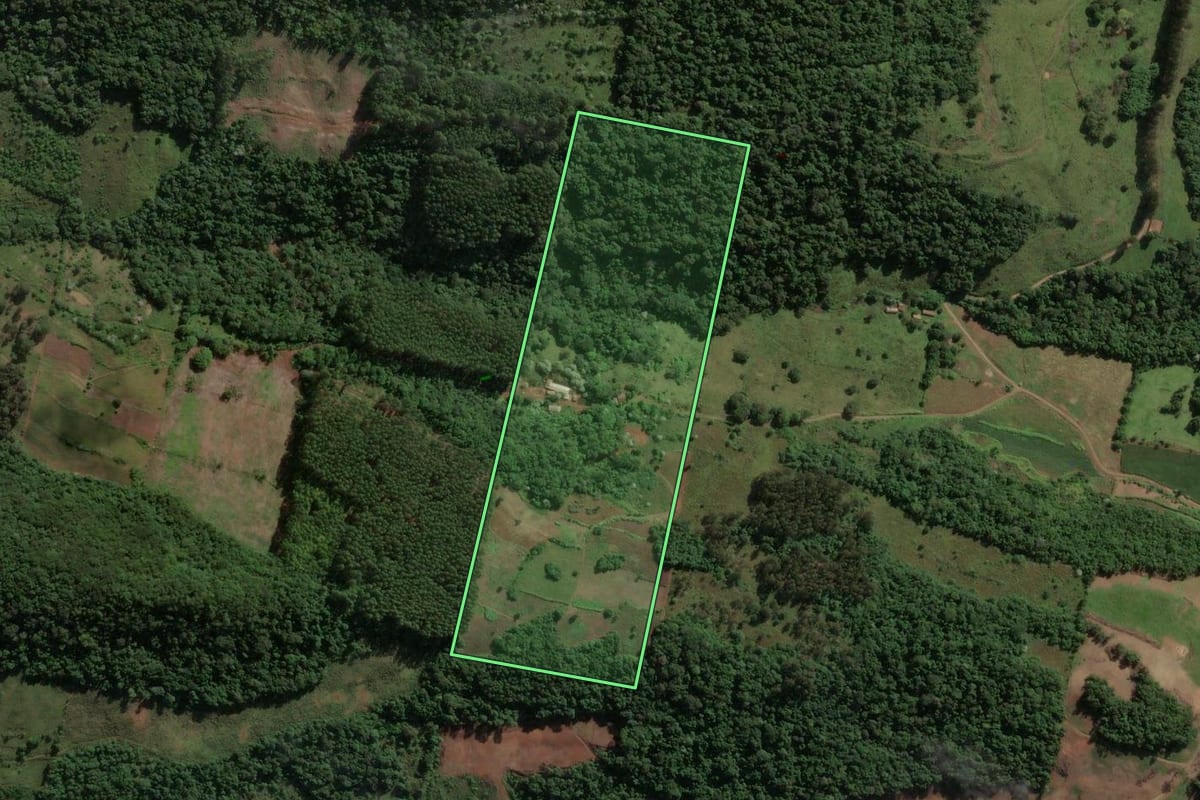 Imagem de satélite do imóvel rural em Ipira (SC), com o contorno declarado no CAR desenhado por cima.