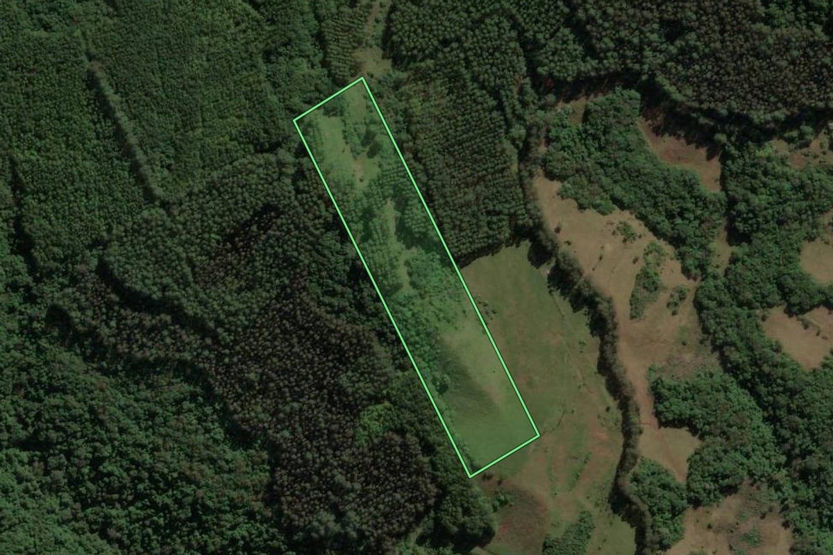 Imagem de satélite do imóvel rural em Ipira (SC), com o contorno declarado no CAR desenhado por cima.