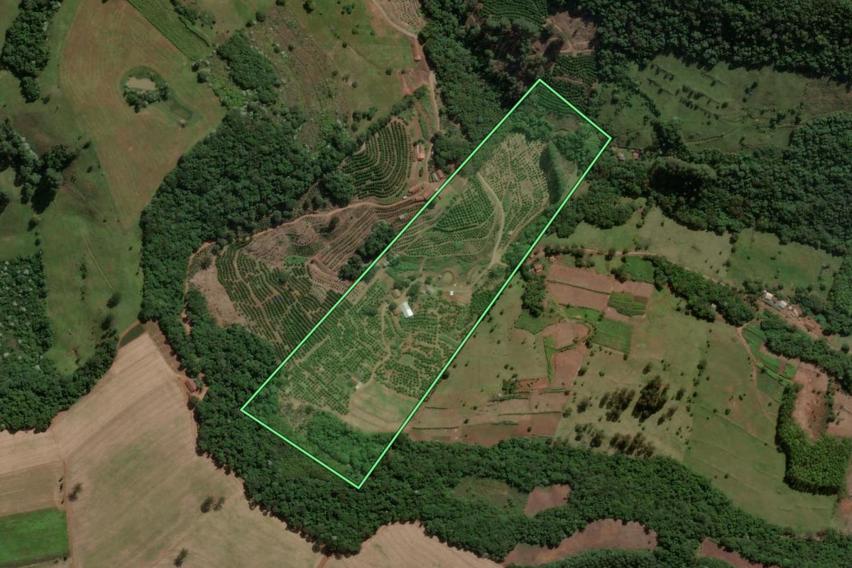 Imagem de satélite do imóvel rural em Ipira (SC), com o contorno declarado no CAR desenhado por cima.