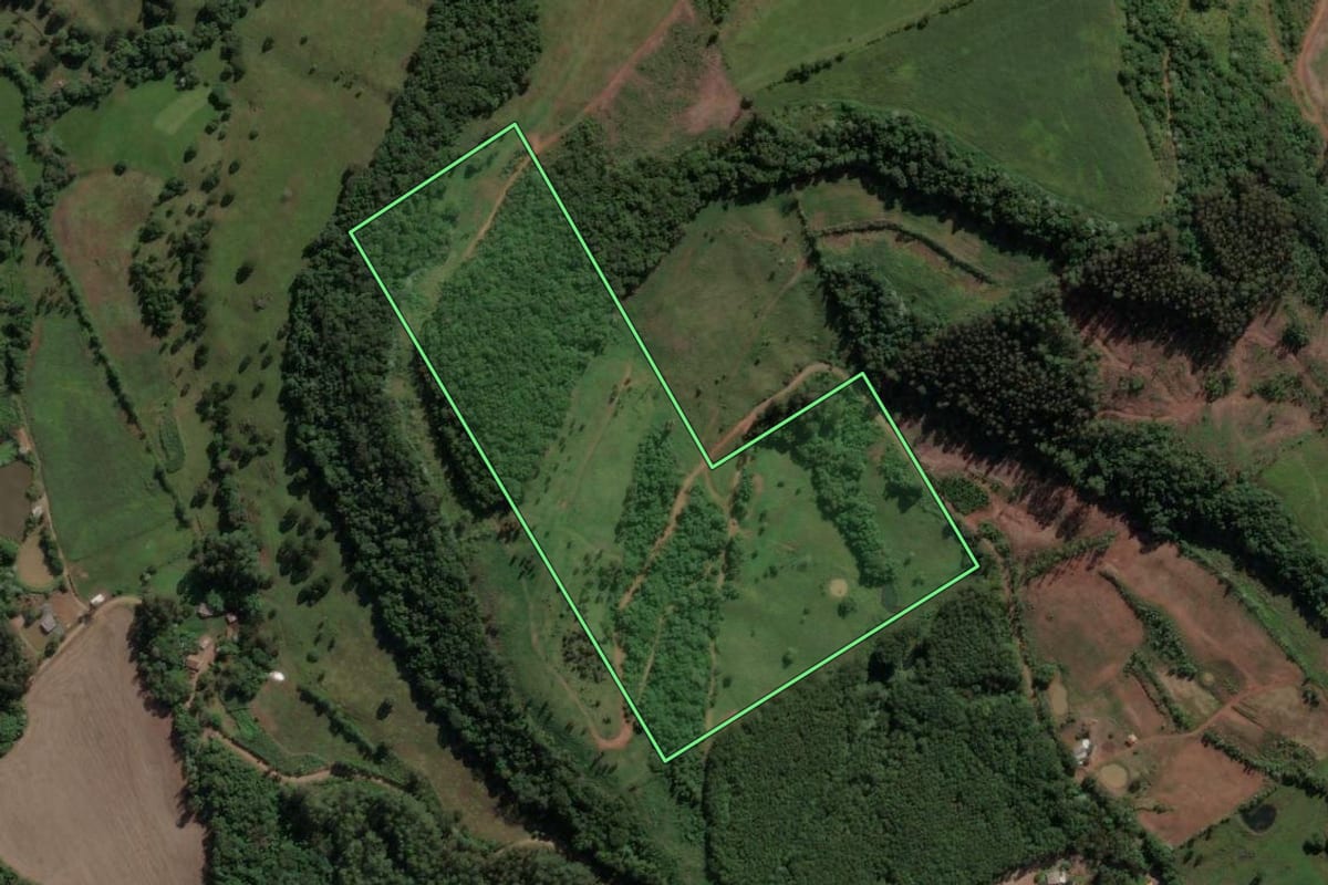 Imagem de satélite do imóvel rural em Ipira (SC), com o contorno declarado no CAR desenhado por cima.