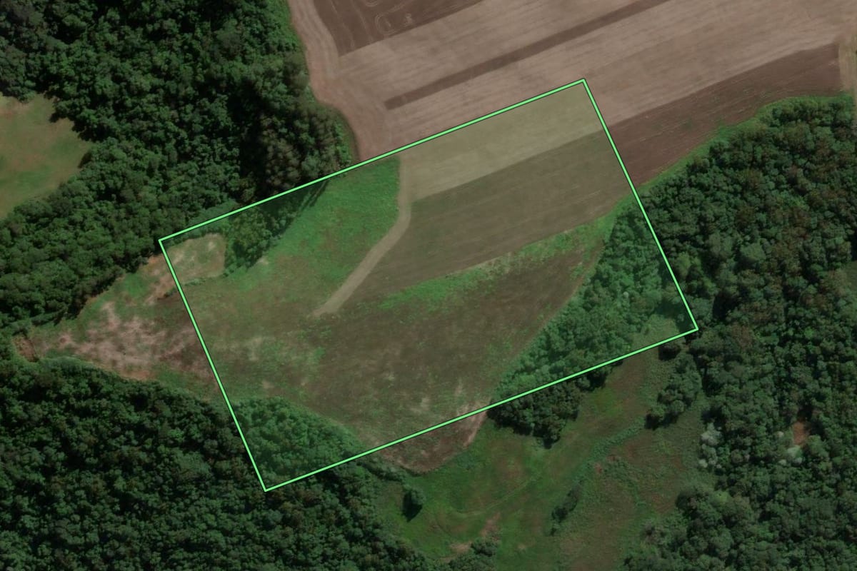 Imagem de satélite do imóvel rural em Ipira (SC), com o contorno declarado no CAR desenhado por cima.
